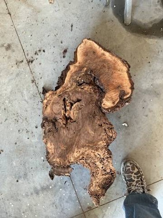 Wood Burl