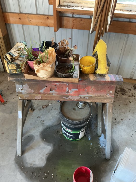 2 - Sawhorses