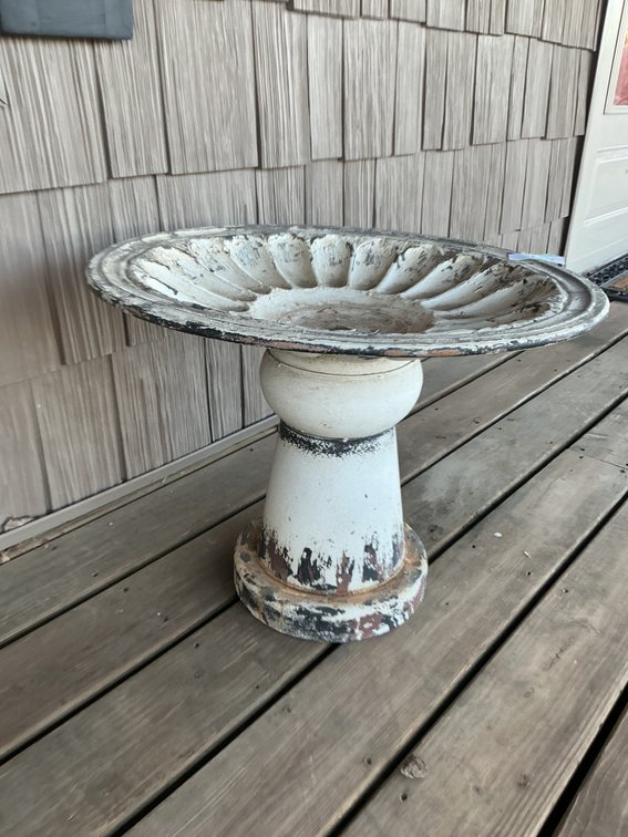 Bird Bath