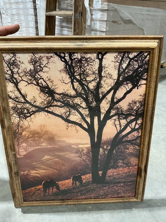19"x23" Horse Range Ocean Shore Painting in Wooden Frame
