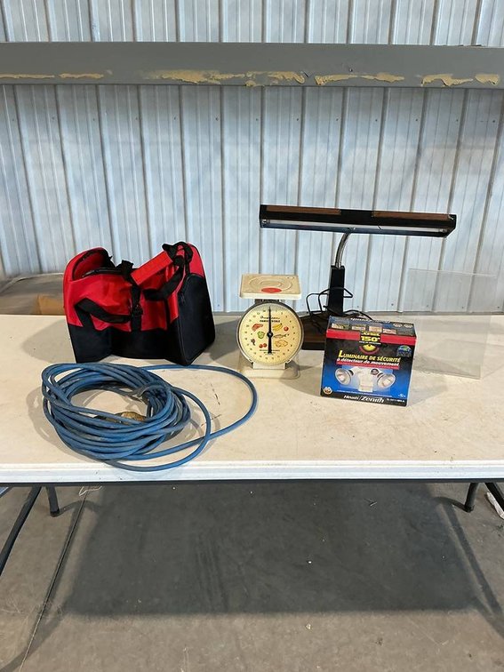 This Lot Includes a Carry Bag, 150 Degree Motion Sensor Security Light, Vintage Scale, and a Desk Lamp