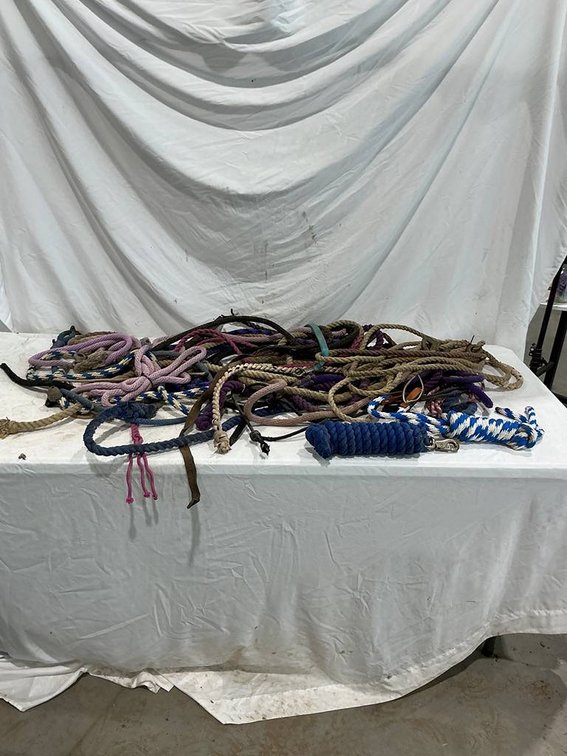 Big Lot of Horse Lead Ropes