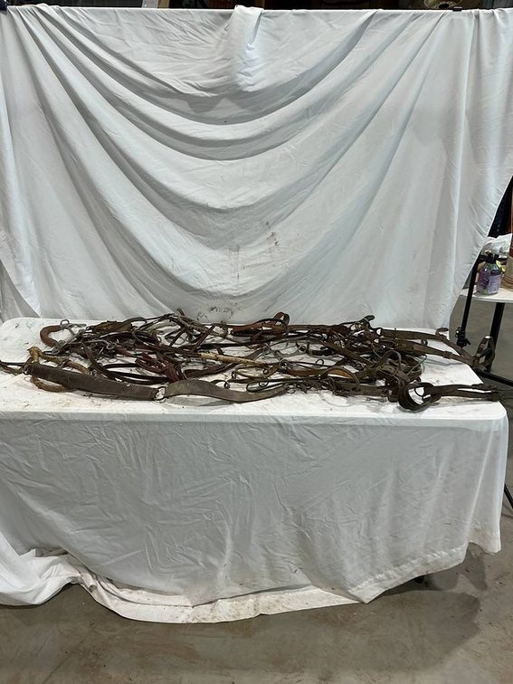 This is a Leather Lot Containing Bites, Halters, Riding Crops, and more Leather Horse Accessories