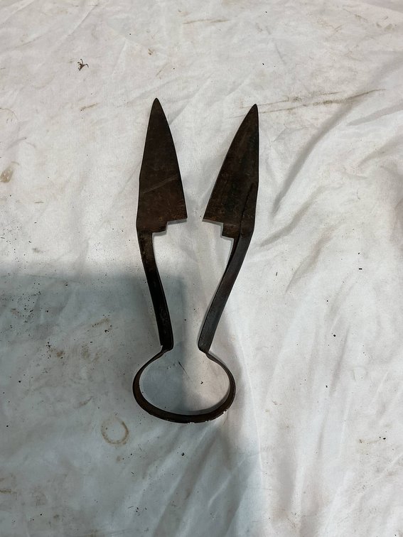 Vintage Sheep Shears