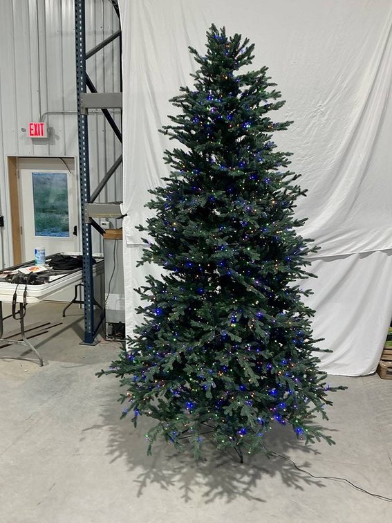 Home Decorators Collection 9 ft Tree