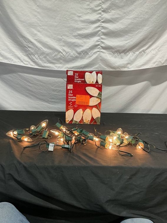 Home Accents Holiday 25 Incandescent lights