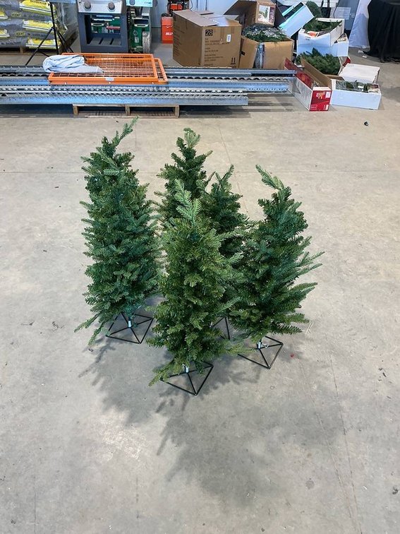 Lot of 6 3 ft trees