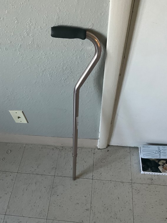 Walking cane