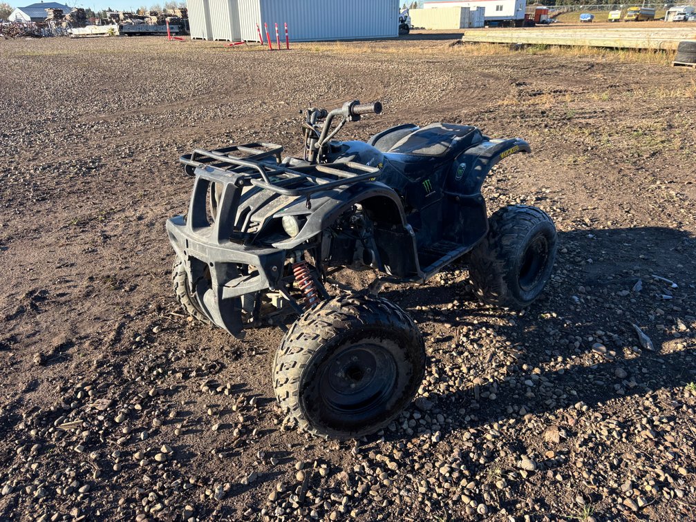2010 Tao Tao Kicker Quad (Non-Running)