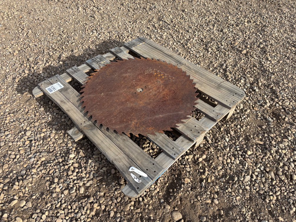 Vintage Sawmill Blade