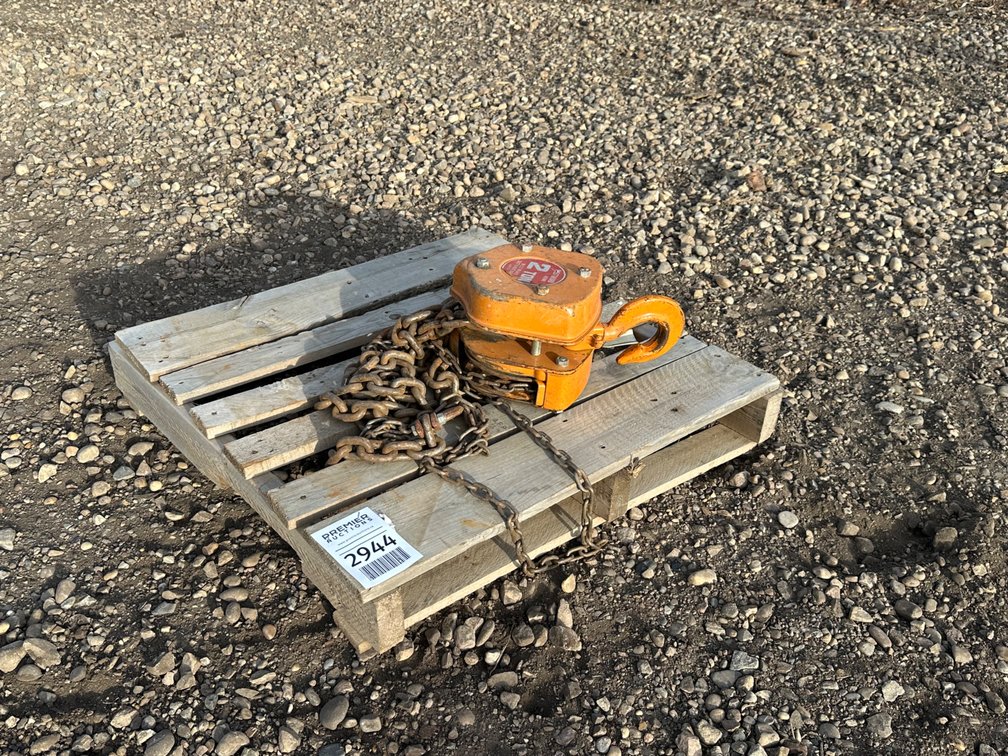 Westward Vital 2ton Chain Hoist