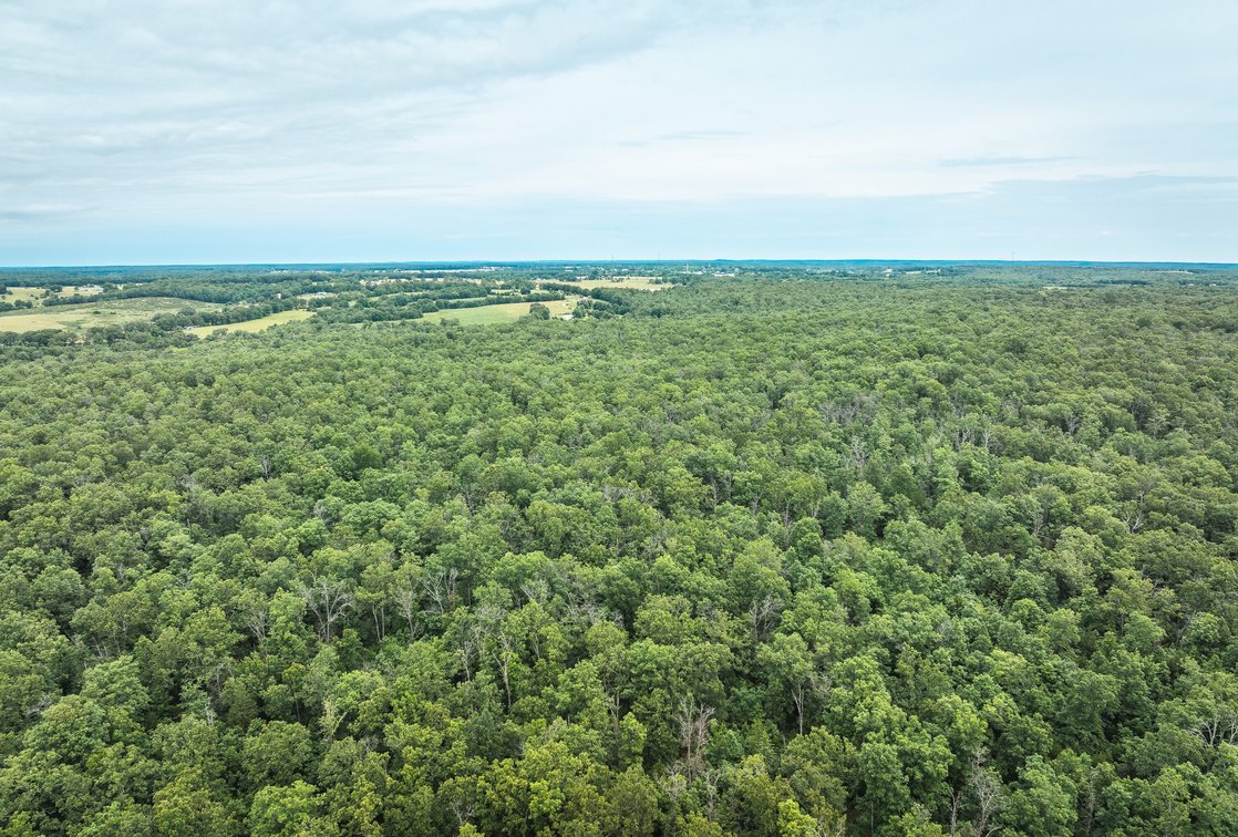 Image for Phelps County Land & Timber