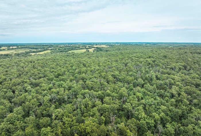 Image for Phelps County Land & Timber