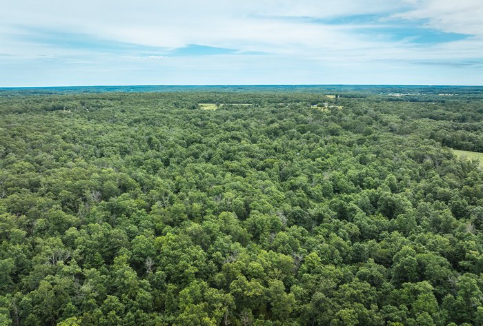 Image for Phelps County Land & Timber