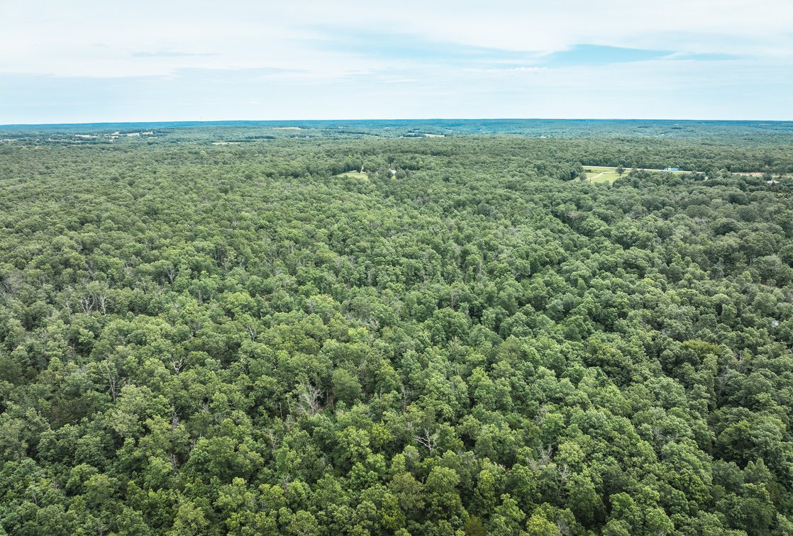 Image for Phelps County Land & Timber