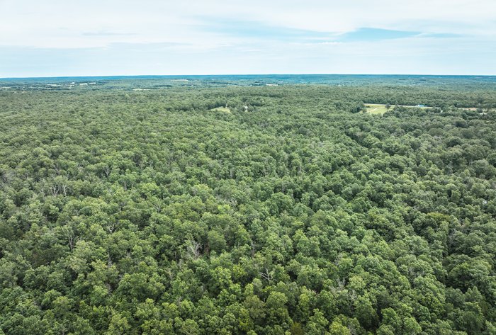 Image for Phelps County Land & Timber