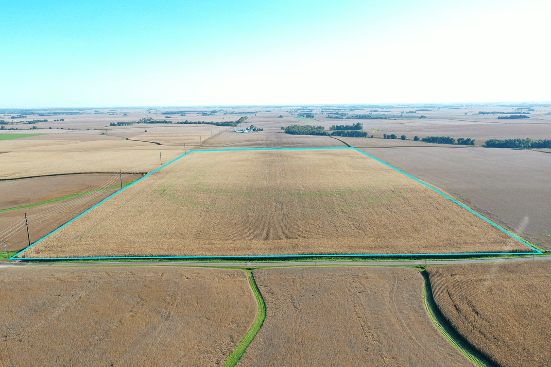 81.21 Acres Henry County Tract