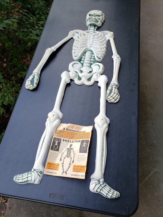 Star Band Co. Bag-O-Bones 3 Dimensional Plastic Skeleton