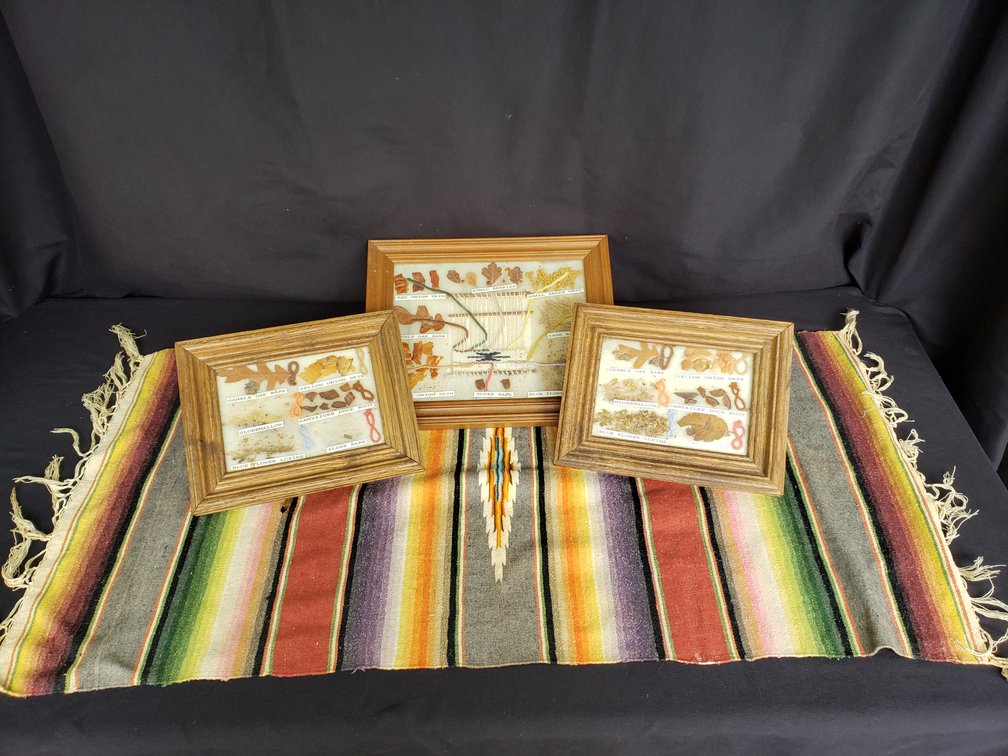 Botanical Wool Dye Chart Shadowboxes and Woven Runner