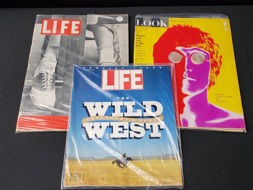 Magazines in Clear Plastic Protective Sleeves