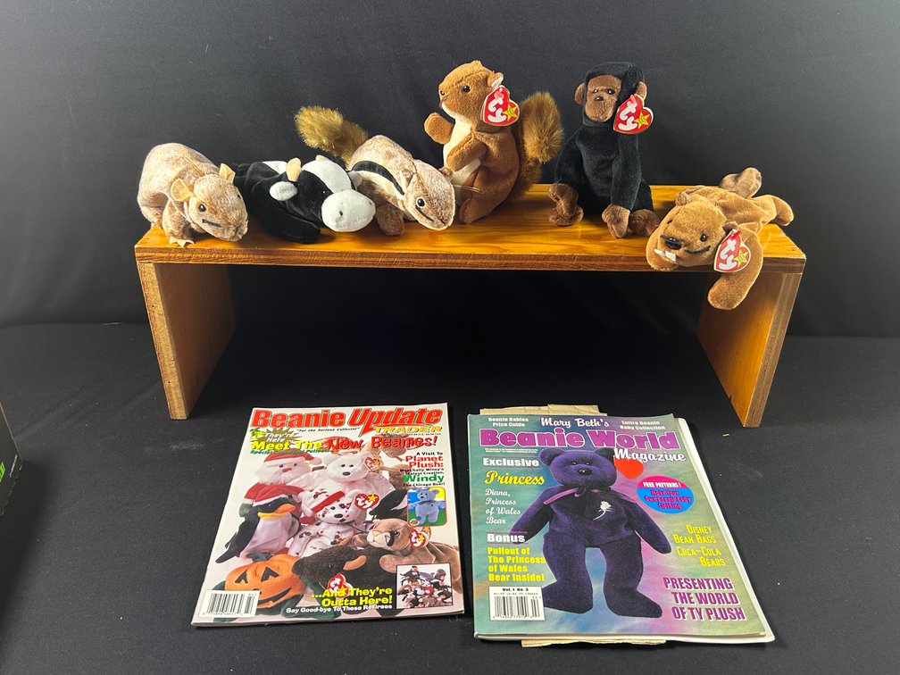 Beanie Baby Animals and Magazines