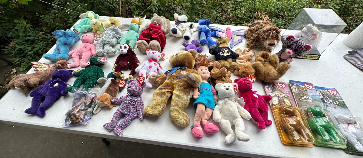 Large Selection of Beanie Babies