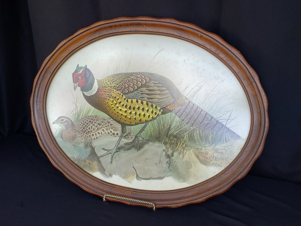 Framed Oval Pheasant Print