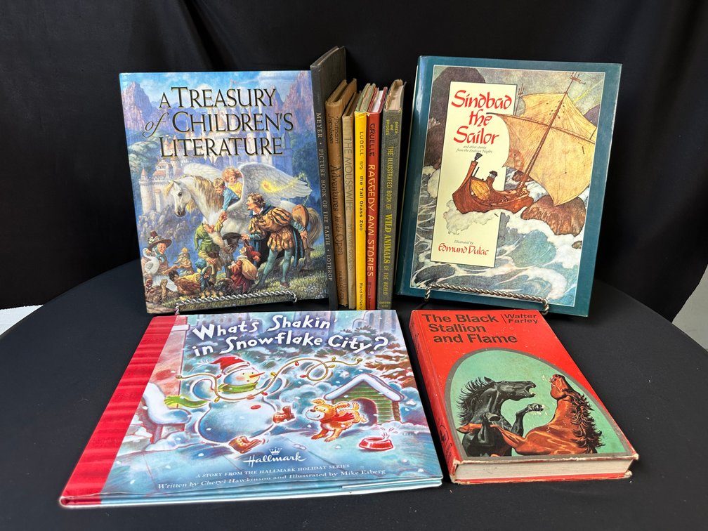 Children's and Illustrated Hardcover Books