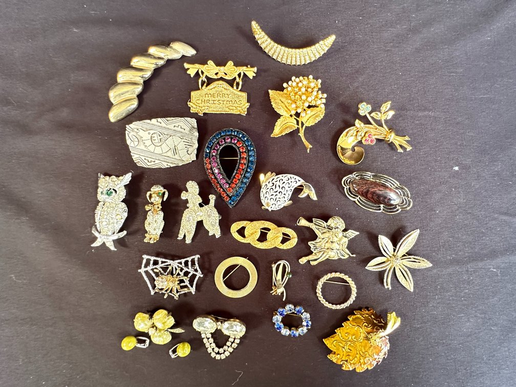 Costume Jewelry Brooches, Pins, and Clip Earrings
