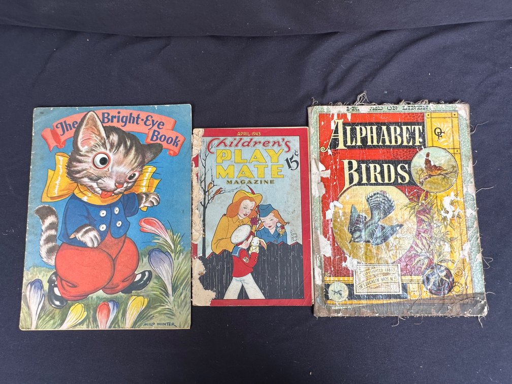 Children's Illustrated Books and Play Mate Magazine