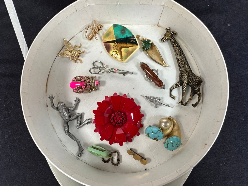 Costume Jewelry Brooches, Pins, and Vanity Case