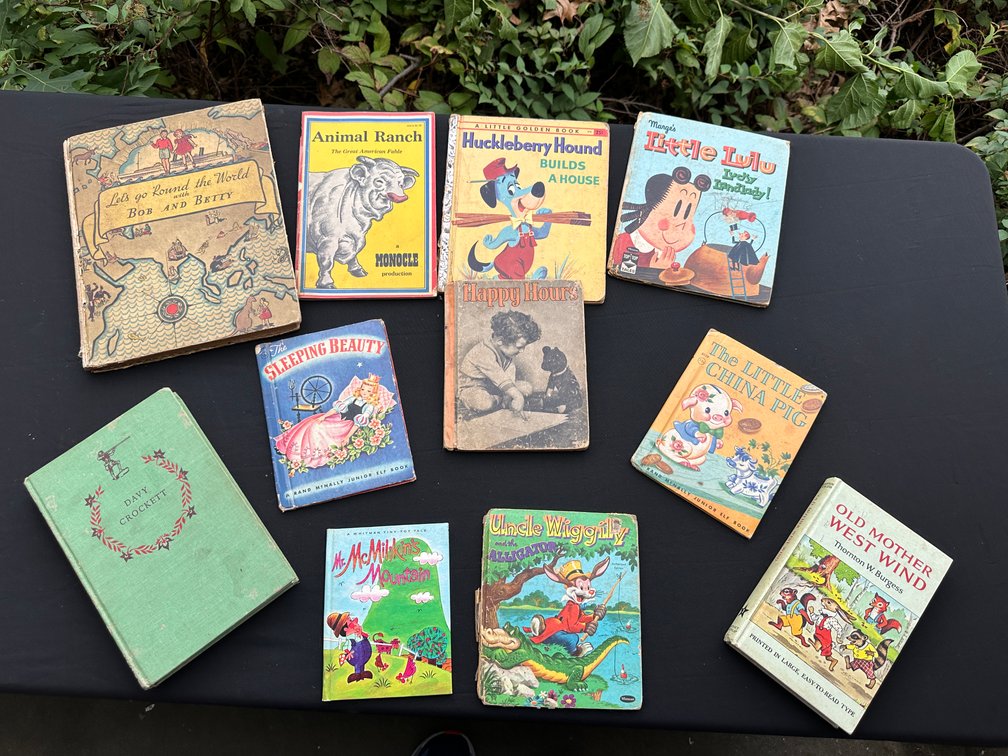 Illustrated Children's Books and Storybooks