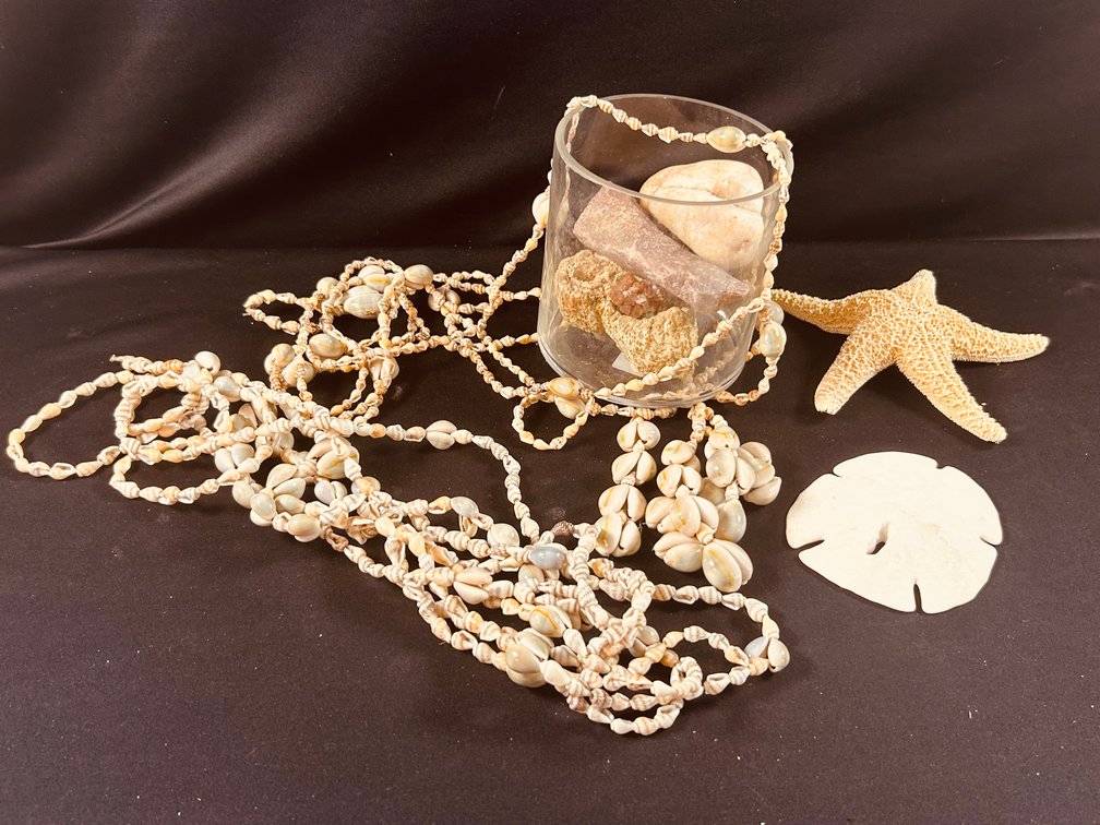 Shells & Rocks