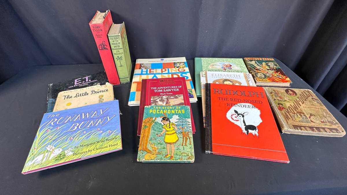 Children's Storybooks, The Little Prince, and More