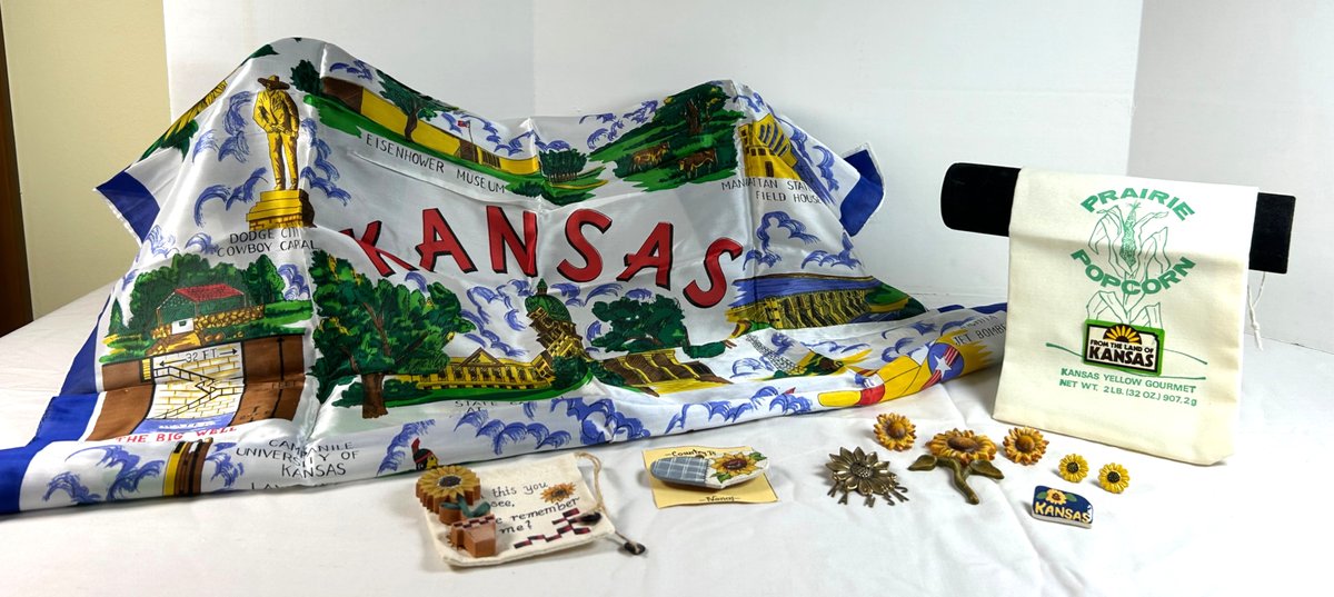 Sunflower/Kansas Jewelry and Scarf