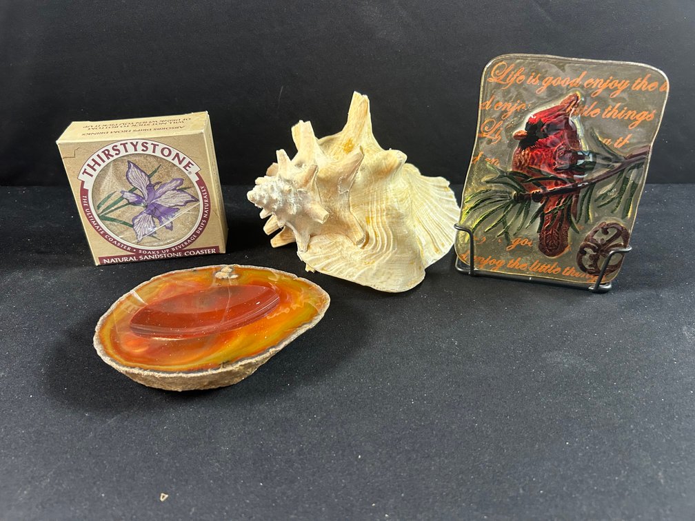 Agate, Conch Shell, & More