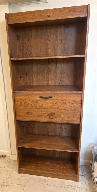 Bookshelf with Pull Down Door