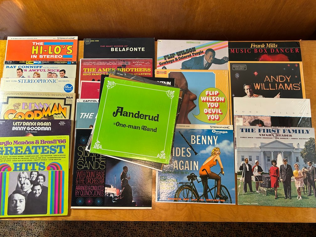 Collection of 12-Inch Vinyl LP Record Albums