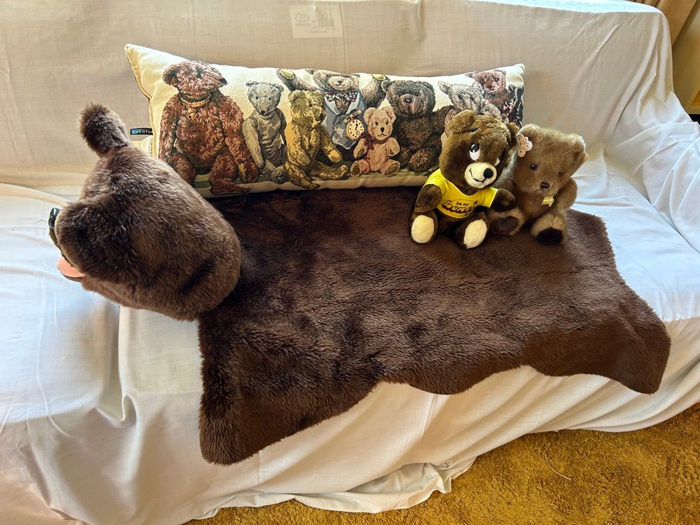 Faux Fur Bear Rug, Tapestry Pillow, and Plush Bears