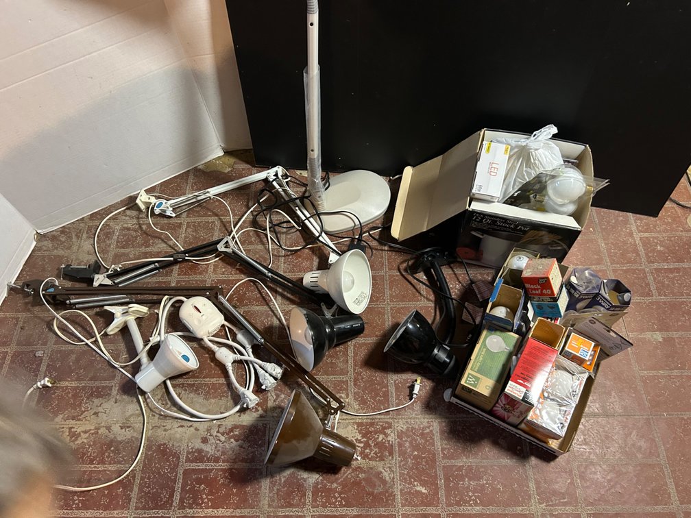 Selection of Lights and Bulbs
