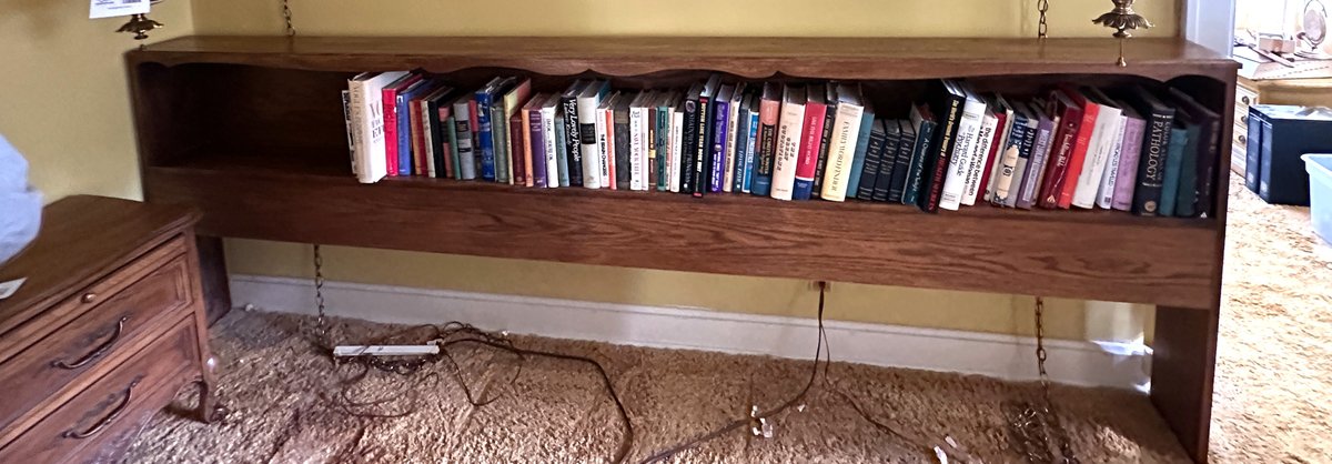 Wooden Bookcase Headboard Bridge