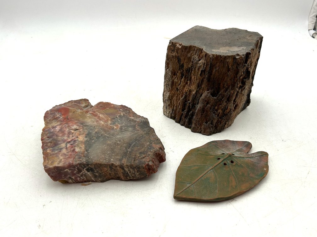 Petrified Wood and Pottery Leaf