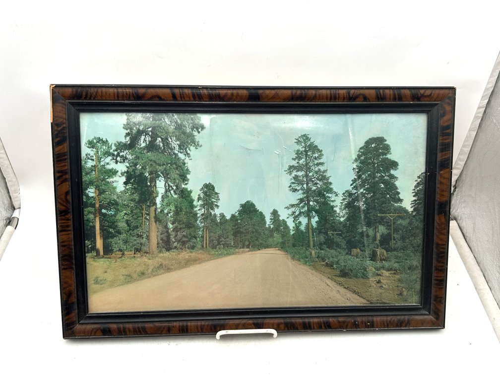 "Country Road in the Forest" Picture in Art Deco Frame