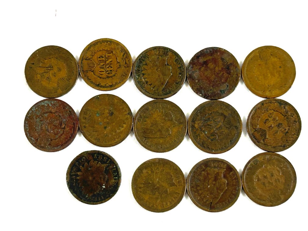 1800s Indian Head Pennies (14)