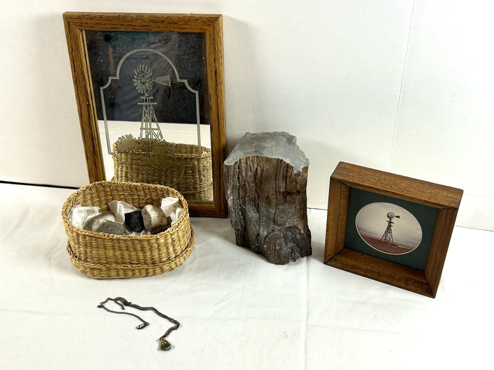 Petrified Wood, Rocks, & Pictures