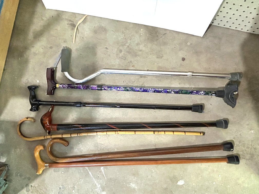 Walking Sticks and Canes