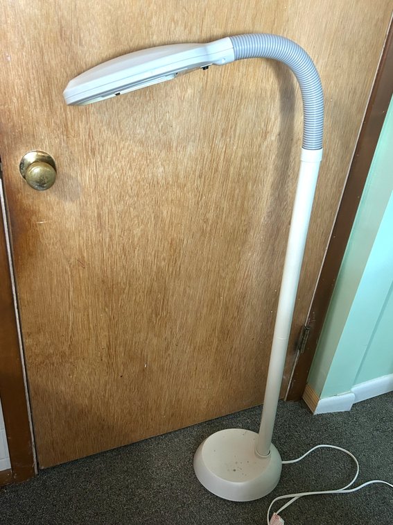 Floor Model Flexible Neck Light