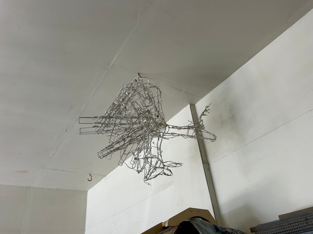 Lighted Seasonal Reindeer (2)