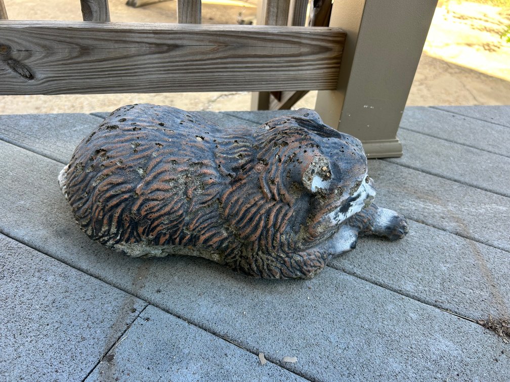 Concrete Cat