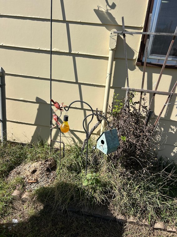 Tall and Short Shepherd's Hook and Yard Art with Cardinals